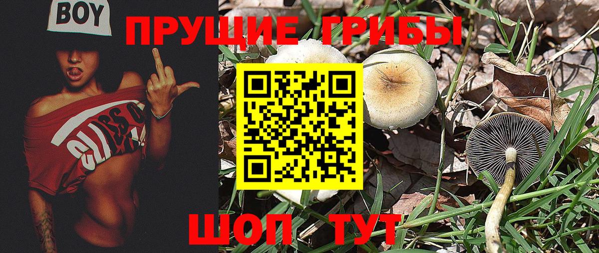 Alpha PVP СОЛЬ кристаллы  Экстази  МЕФ   Гашиш  Шелехов  Канабис  Вход с VPN  МЕТАМФЕТАМИН 