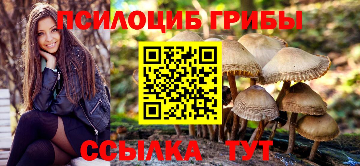 Шелехов  Псилоцибиновые грибы прущие грибы  Псилоцибиновые грибы Cubensis  где продают   Вход с VPN 