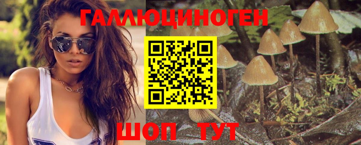 Галлюциногенные грибы мухоморы Шелехов